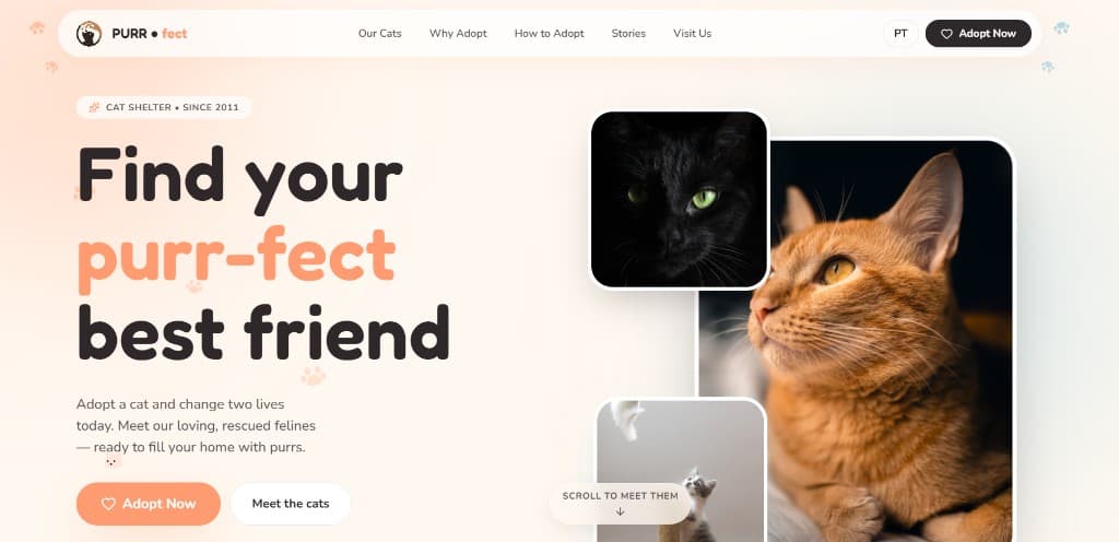 PuurFect preview